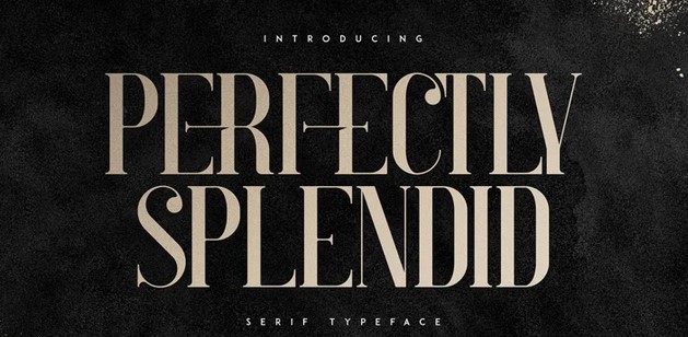 [Myfonts] Perfectly Splendid Font (2021)_0.jpg